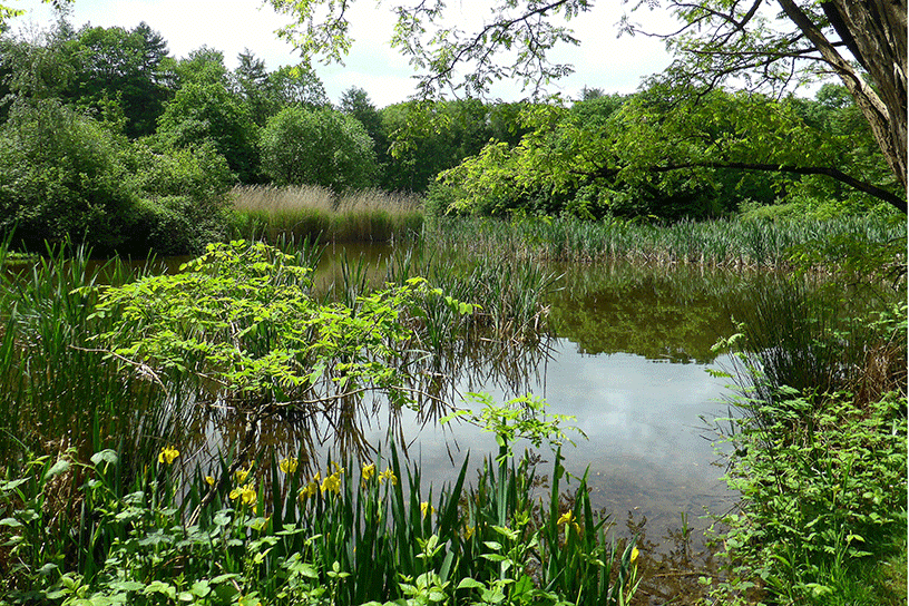 Wandelen langs het water in Arnhem